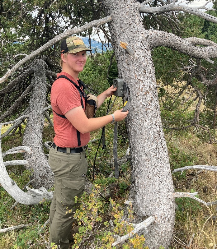 Great Falls Chapter SCI Sponsors a Cooperative Wildlife Student Internship with The Judith-Musselshell Ranger District and University of Providence 